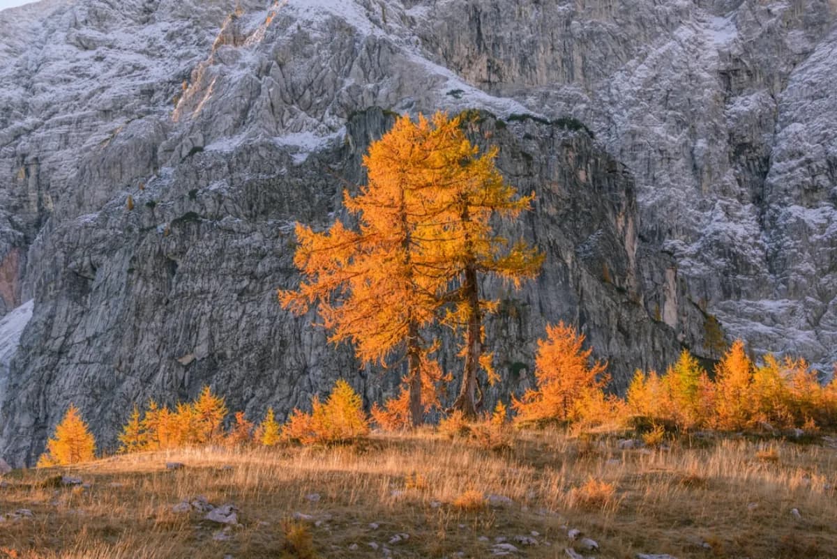 Herbst in den Dolomiten: Laubfarbung und Abenteuer