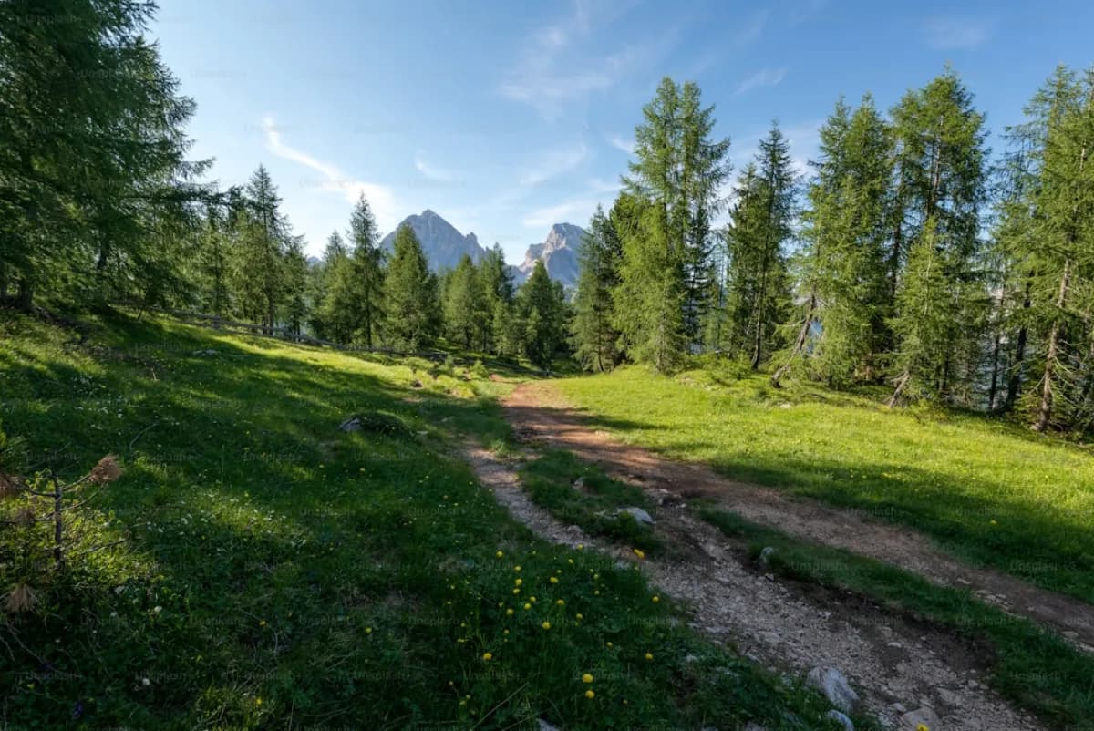 Promenades Faciles dans les Dolomites: Pour Tous