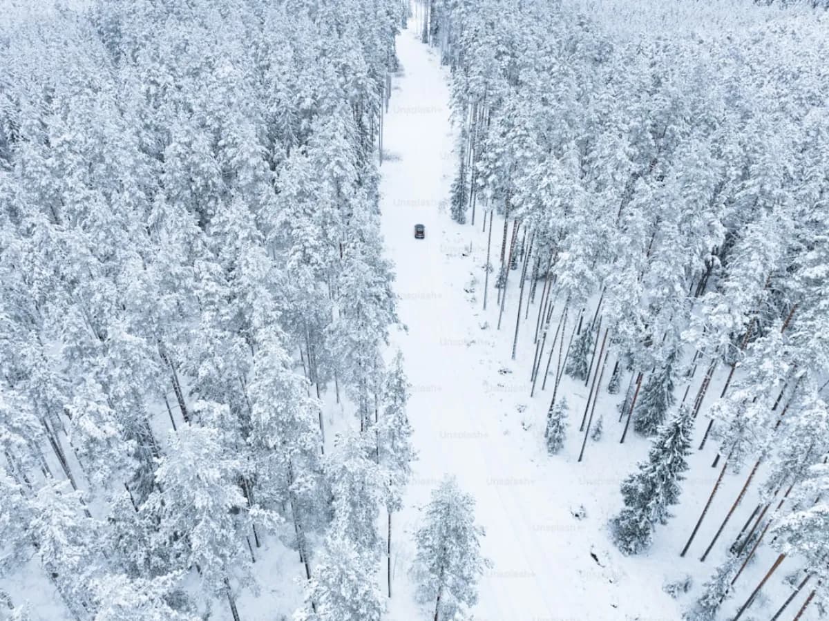 Sci di Fondo nelle Dolomiti: Piste e Percorsi