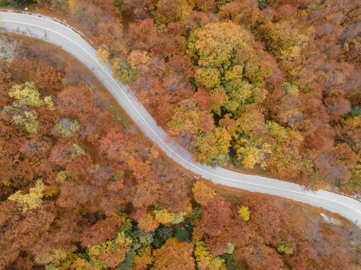 Zipline im Herbst: Die Farben Machen Alles Besser