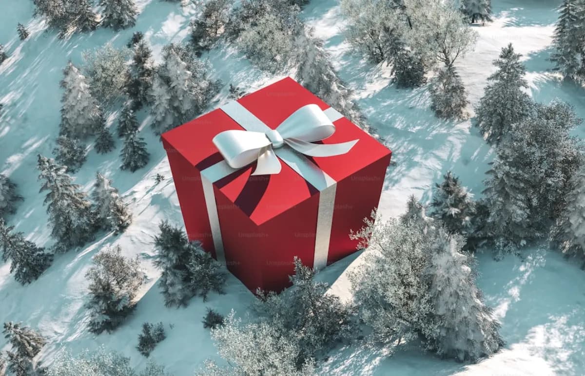 Zipline: Das Perfekte Weihnachtsgeschenk